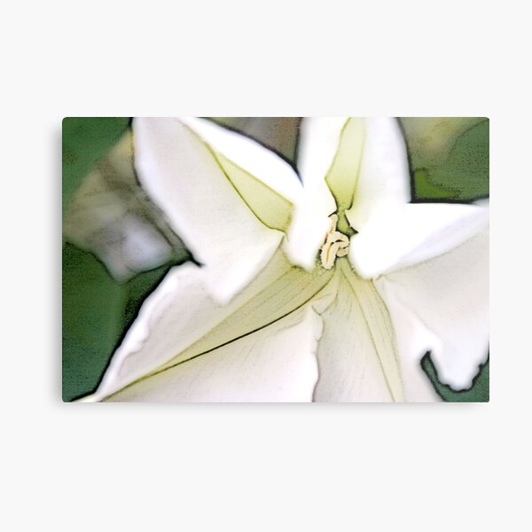 Aperçu de l'œuvre Moonflower Unfurls at Dusk créée et vendue par sgejji.