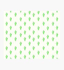 Cactiparty OG Photographic Print