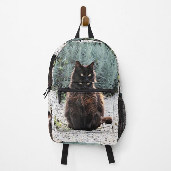 Item preview, r 2572/ 12 Chat-Cat " Mamadou l'Eternel Pacha " finition 2020 par Okaio Créations - Olavia&Olao designed and sold by o.okaïo.