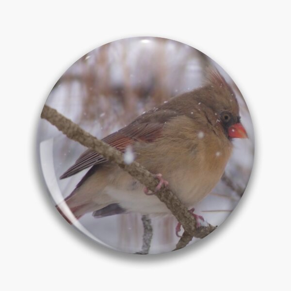 Item preview, Cardenal norteño en un día de nieve designed and sold by cherylorraine.
