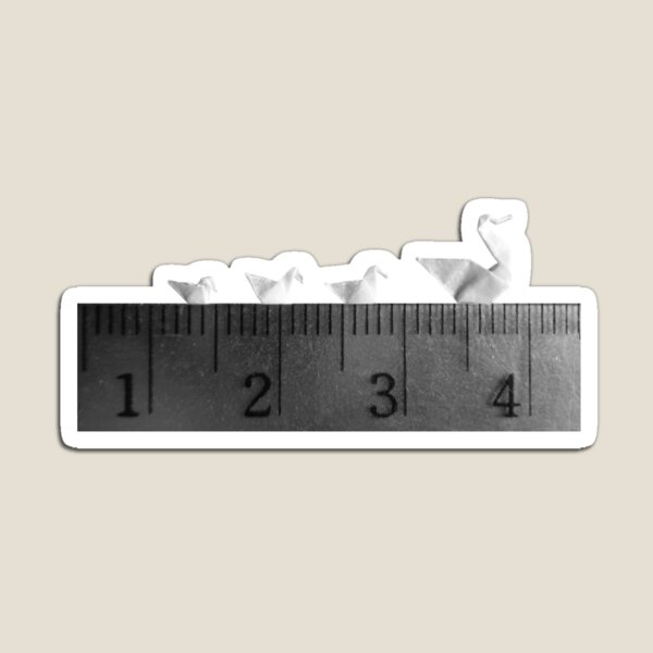 3cm Family Swim Magnet