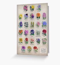 The Floral Alphabet Greeting Card