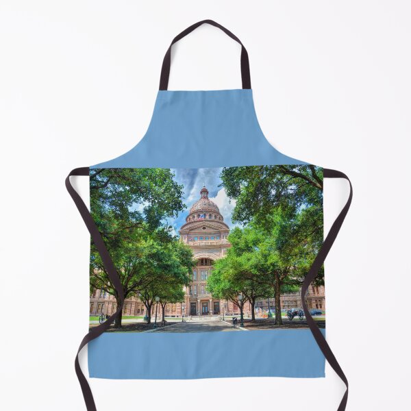 Aperçu de l'œuvre Texas State Capital créée et vendue par Savannah Gibbs.