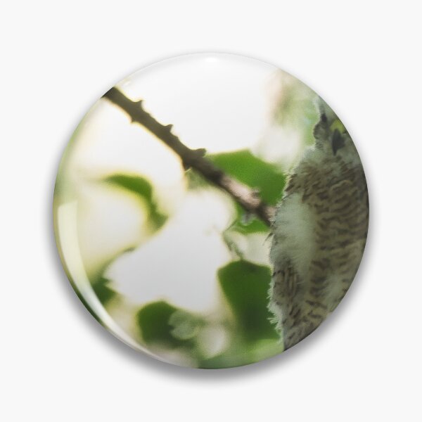 Item preview, Two Sparrow Hawk chicks on a nest. designed and sold by RobinDHunter.