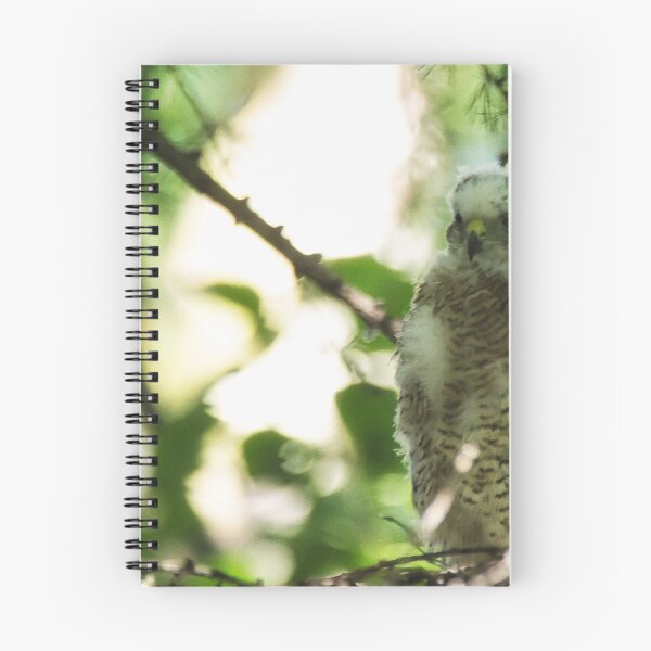 Item preview, Two Sparrow Hawk chicks on a nest. designed and sold by RobinDHunter.