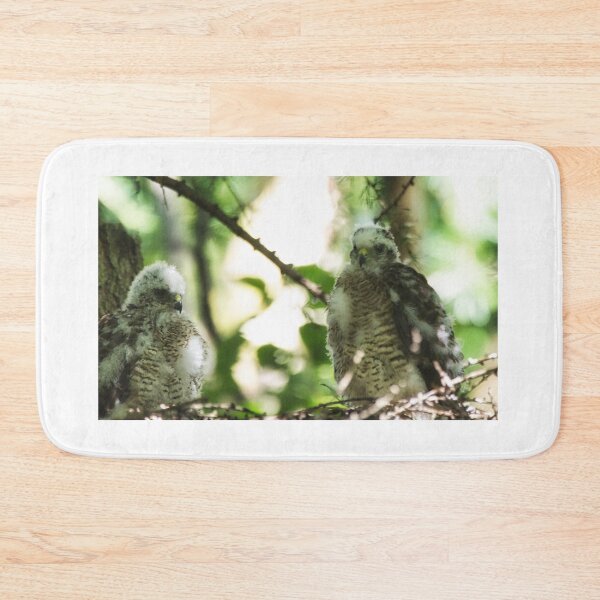 Item preview, Two Sparrow Hawk chicks on a nest. designed and sold by RobinDHunter.