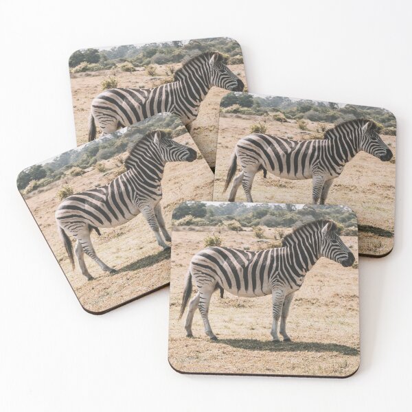 Item preview, Wild Zebra designed and sold by newburyboutique.