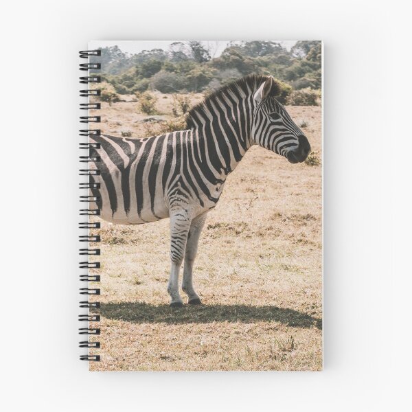 Item preview, Wild Zebra designed and sold by newburyboutique.