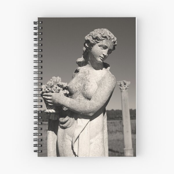 Item preview, Flower Lady in Black and White designed and sold by WisePhoto.
