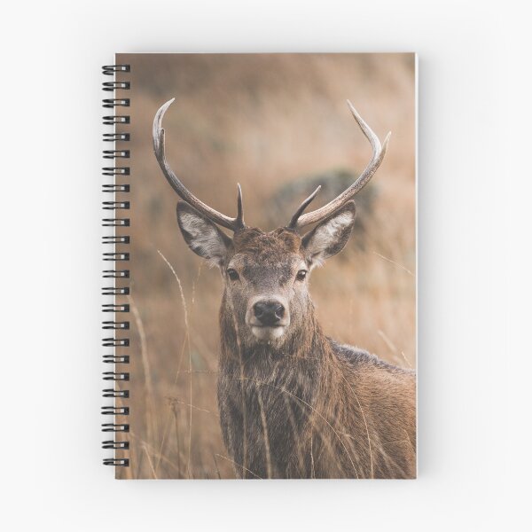 Item preview, The rare DEER golden photo  designed and sold by Abed-T-shirt.