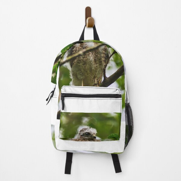Item preview, Sparrow Hawk Chick 'branching out' designed and sold by RobinDHunter.