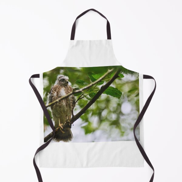 Item preview, Sparrow Hawk Chick 'branching out' designed and sold by RobinDHunter.