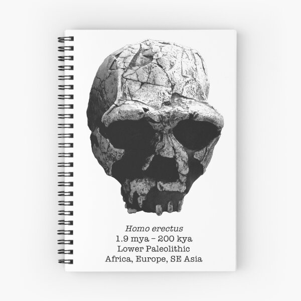 Item preview, Homo erectus 1 designed and sold by SnazzyScience.