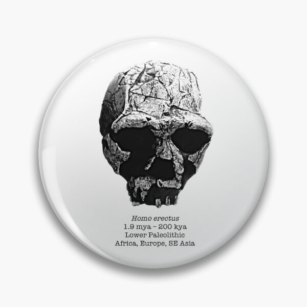 Item preview, Homo erectus 1 (sketchy style) designed and sold by SnazzyScience.