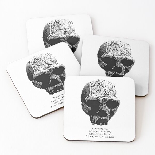 Item preview, Homo erectus 1 (sketchy style) designed and sold by SnazzyScience.