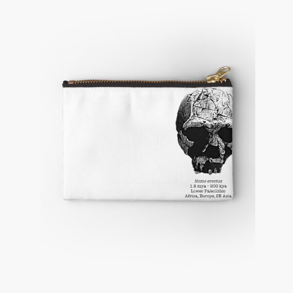 Item preview, Homo erectus 1 (sketchy style) designed and sold by SnazzyScience.
