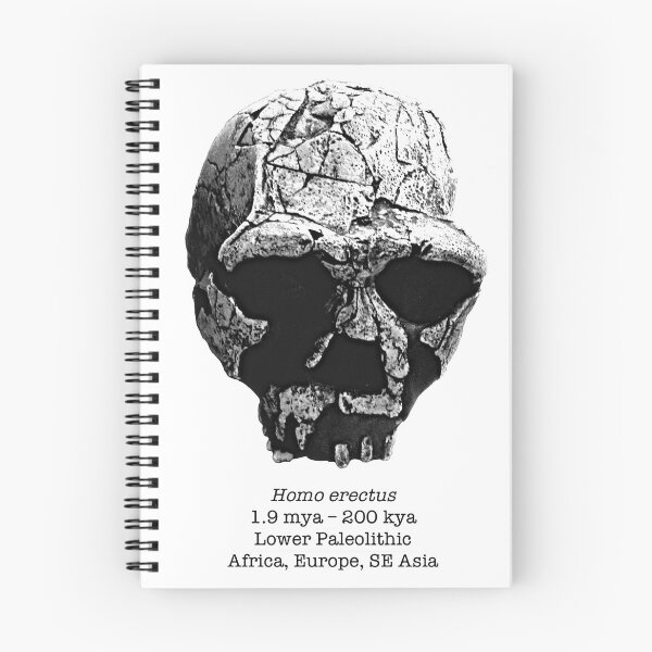 Item preview, Homo erectus 1 (sketchy style) designed and sold by SnazzyScience.