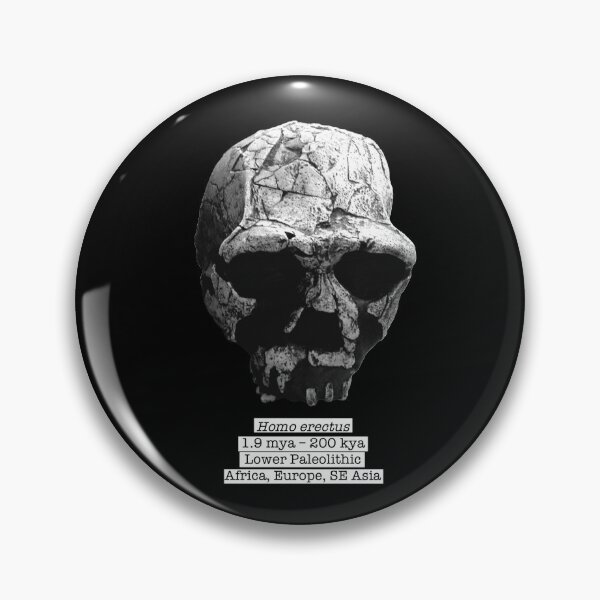 Item preview, Homo erectus 1 (black bg) designed and sold by SnazzyScience.