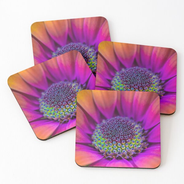 Item preview, Osteospermum designed and sold by alan shapiro.