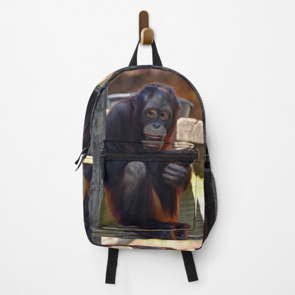 Item preview, Orangutan designed and sold by Savannah Gibbs.