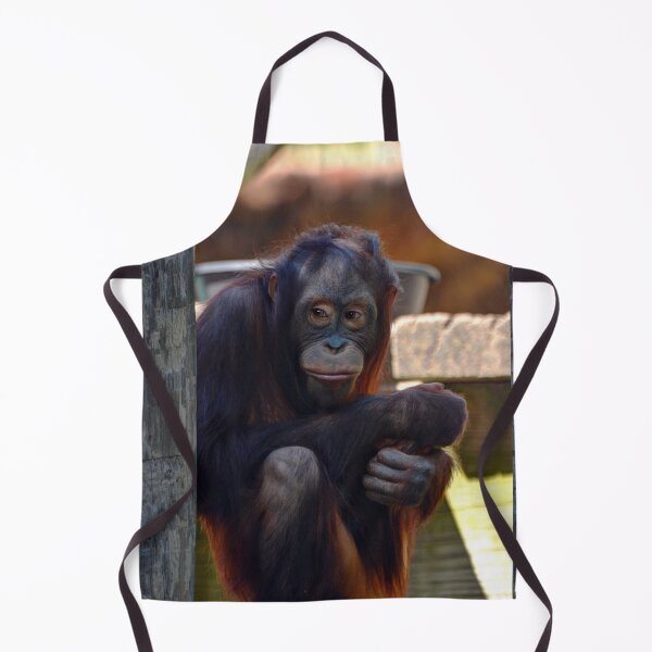 Item preview, Orangutan designed and sold by Savannah Gibbs.