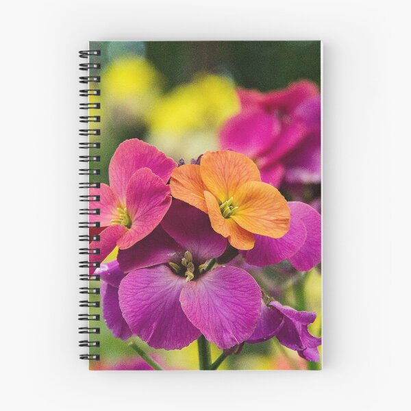 Item preview, Wallflowers designed and sold by Dexterityphotos.