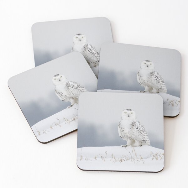 Item preview, Snowy Owl designed and sold by PixlPixi.