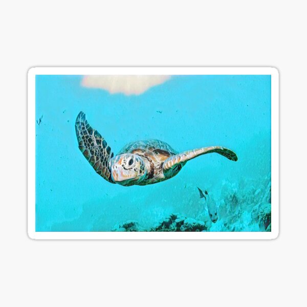 Artikel-Vorschau von Great Barrier Reef, designt und verkauft von AnnaAndVibes.