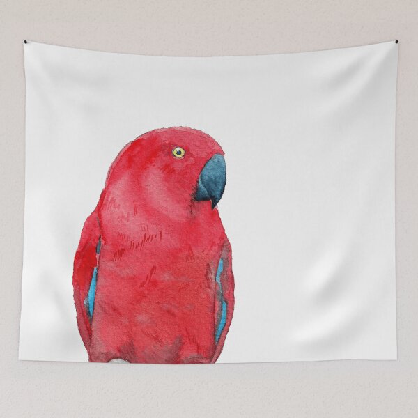 Aperçu de l'œuvre perroquet eclectus aquarelle rouge créée et vendue par L'Atelier Oranjade.