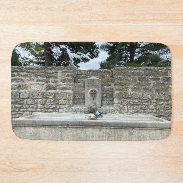 Item preview, Two pigeons on a fountain in the City of Carcassonne designed and sold by AHELENE.