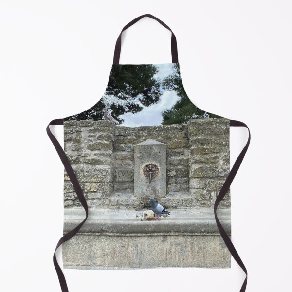 Item preview, Two pigeons on a fountain in the City of Carcassonne designed and sold by AHELENE.
