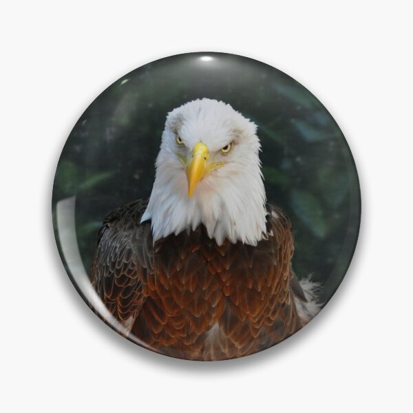 Item preview, American Bald Eagle designed and sold by Savannah Gibbs.