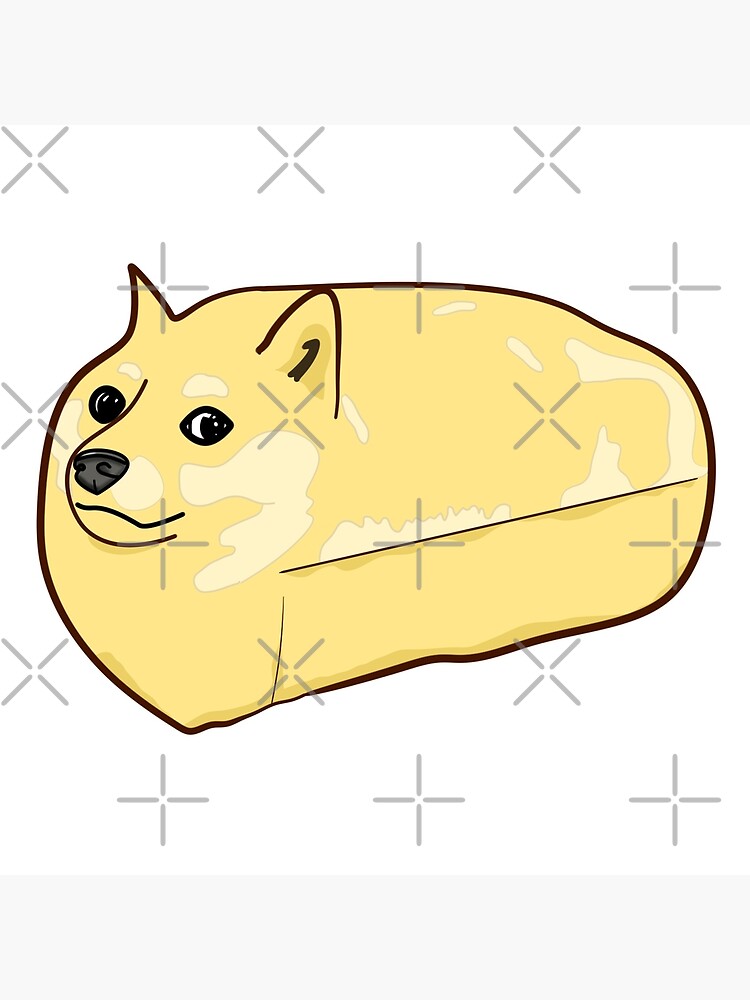 Bread Dog #boski #weezer #jawny #altmusic #hahahahahaha #bread