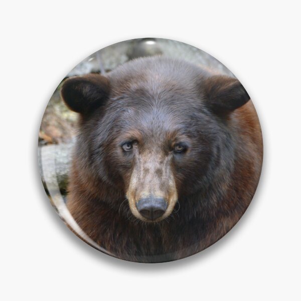 Item preview, Bear designed and sold by Savannah Gibbs.