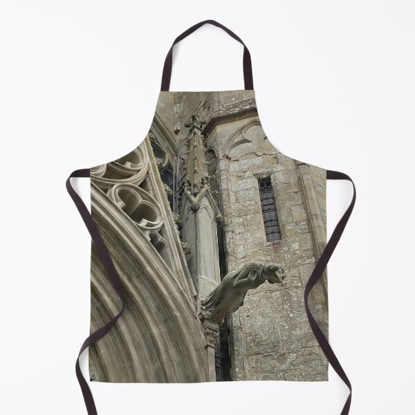 Item preview, Gargoyles of the Saint-Nazaire basilica in the City of Carcassonne designed and sold by AHELENE.