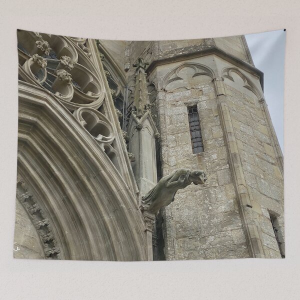 Item preview, Gargoyles of the Saint-Nazaire basilica in the City of Carcassonne designed and sold by AHELENE.