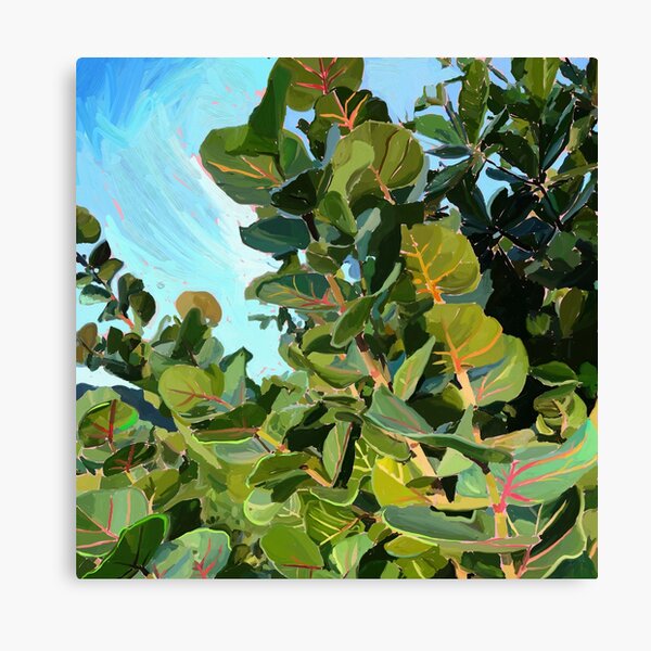 Item preview, Sea Grape Plant designed and sold by Nicole Meckes.