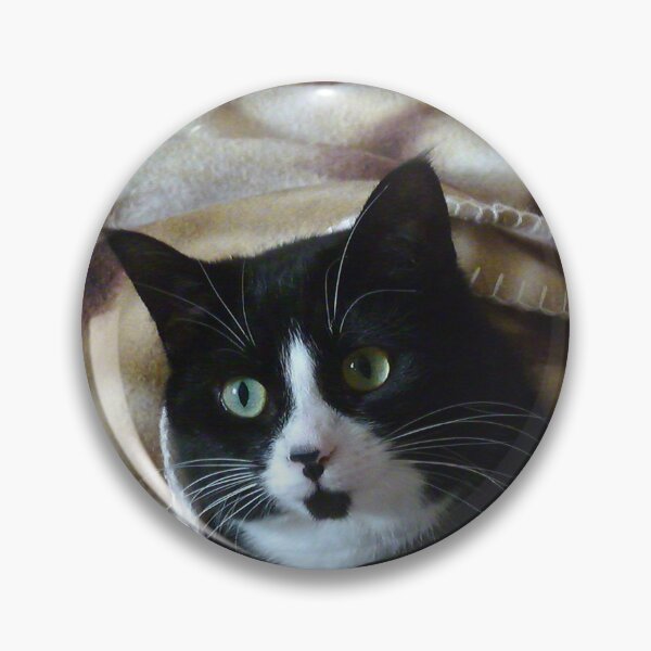 Item preview, Roo in a Blanket designed and sold by Elizabeth "Tibby" Steedly.