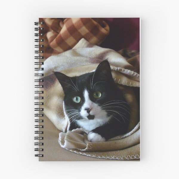 Item preview, Roo in a Blanket designed and sold by Elizabeth "Tibby" Steedly.