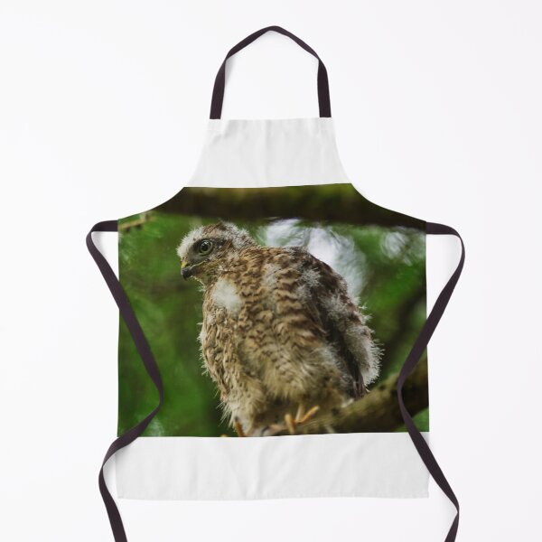 Item preview, Sparrow Hawk Chick 'branching out' of the nest. designed and sold by RobinDHunter.