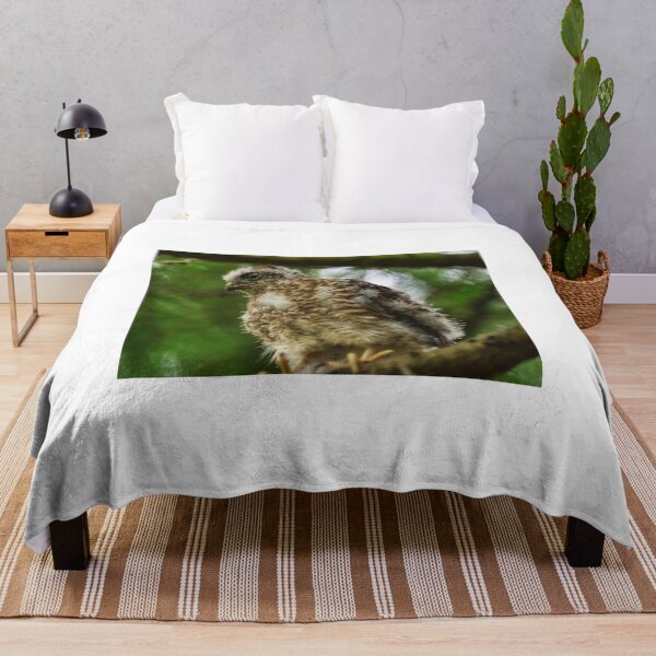 Item preview, Sparrow Hawk Chick 'branching out' of the nest. designed and sold by RobinDHunter.