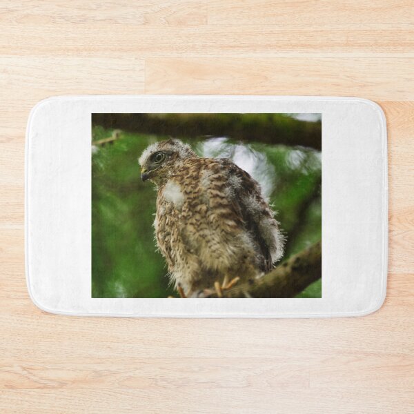 Item preview, Sparrow Hawk Chick 'branching out' of the nest. designed and sold by RobinDHunter.