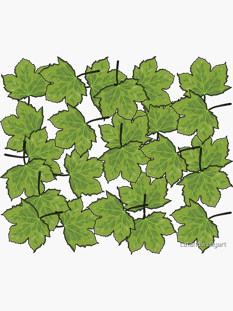 Sycamore Leaf by catandbrollyart