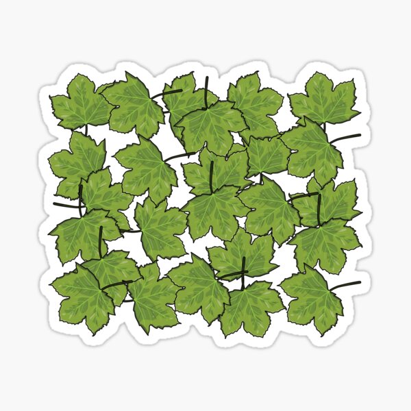 Sycamore Leaf Sticker