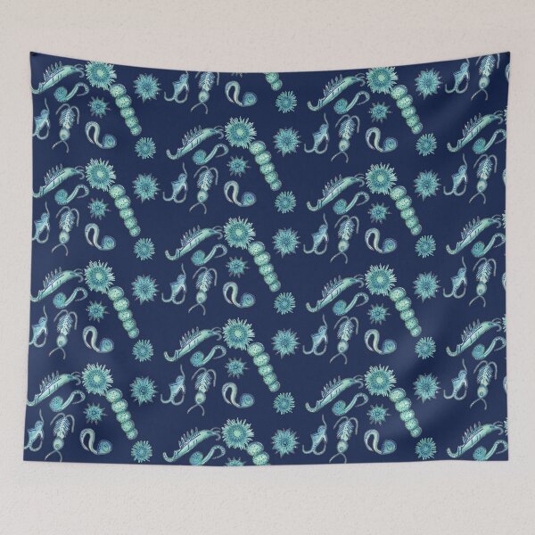 Item preview, Zooplankton Starts with Z Ocean Alphabet Animals designed and sold by erinbelkin.