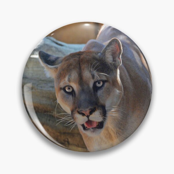 Item preview, Mountain Lion designed and sold by Savannah Gibbs.