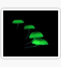 Bioluminescent Mushrooms Sticker