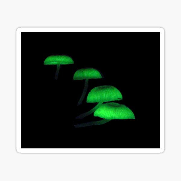 Item preview, Bioluminescent Mushrooms designed and sold by Rob Price.