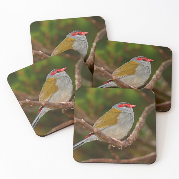 Item preview, Red-browed Finch designed and sold by Robert Elliott.