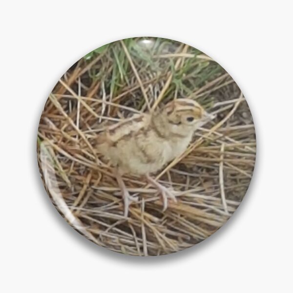 Item preview, Pheasant Chick designed and sold by AbnormalLoad.